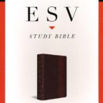 Review: ESV Study Bible